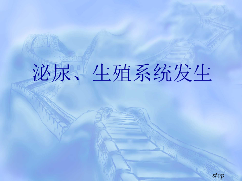 泌尿生殖系发生--组织学与胚胎学.ppt_第1页