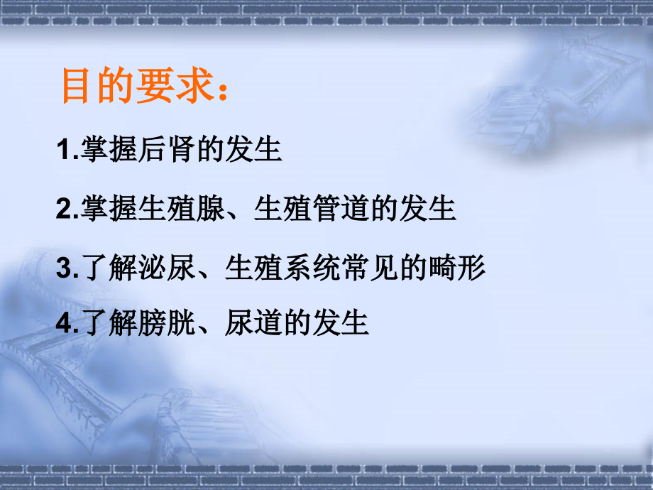 泌尿生殖系发生--组织学与胚胎学.ppt_第2页