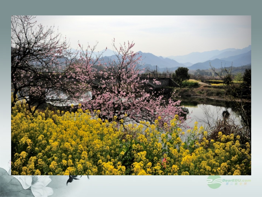 江苏省常州市翠竹中学七年级生物《被子植物》课件-人教新课标版.ppt_第1页
