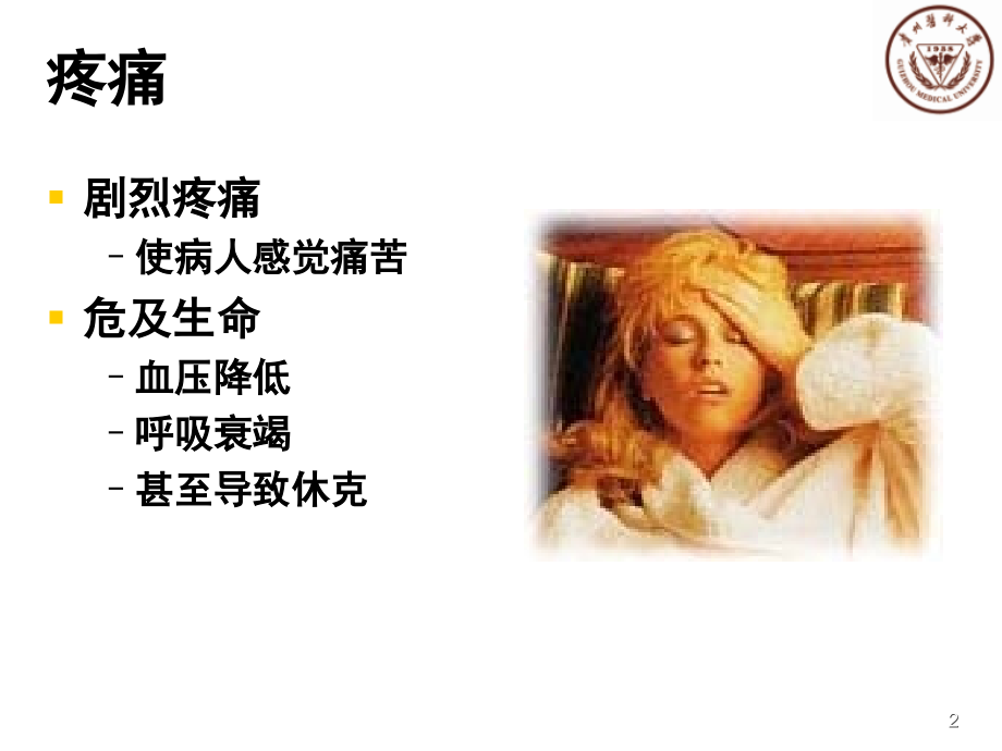 中枢性镇痛药解读.ppt_第2页
