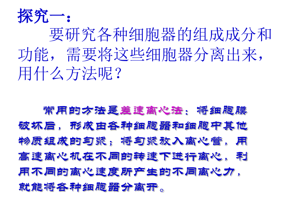 细胞器──系统内的分工合作.ppt_第2页