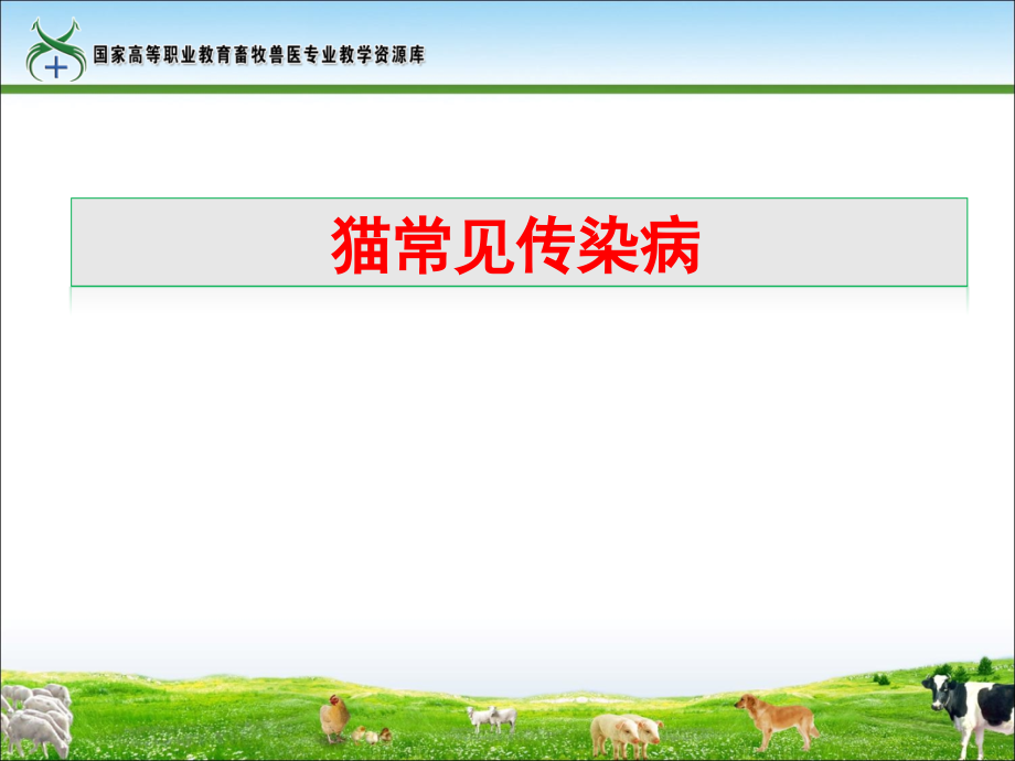 工作任务29猫常见传染病.ppt_第1页