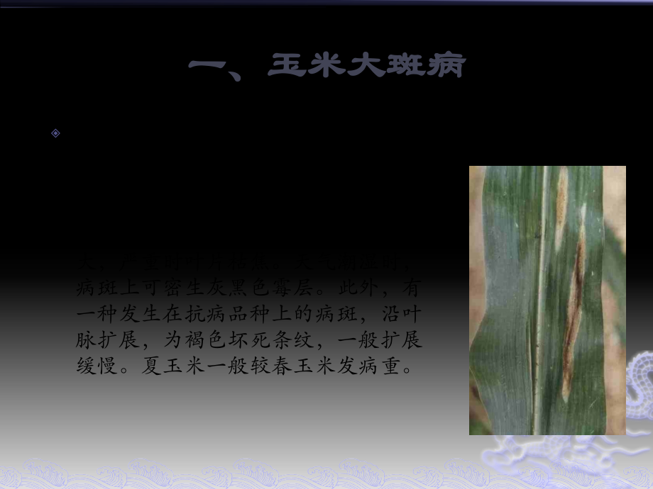 玉米病虫害防治.pptx_第2页