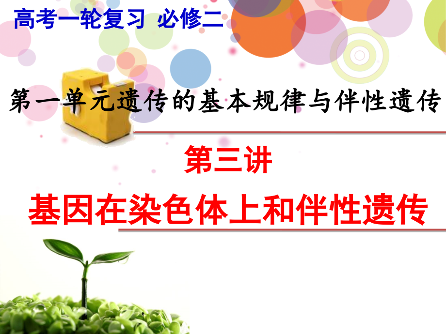 A常染色体遗传病最大的特点.ppt_第1页