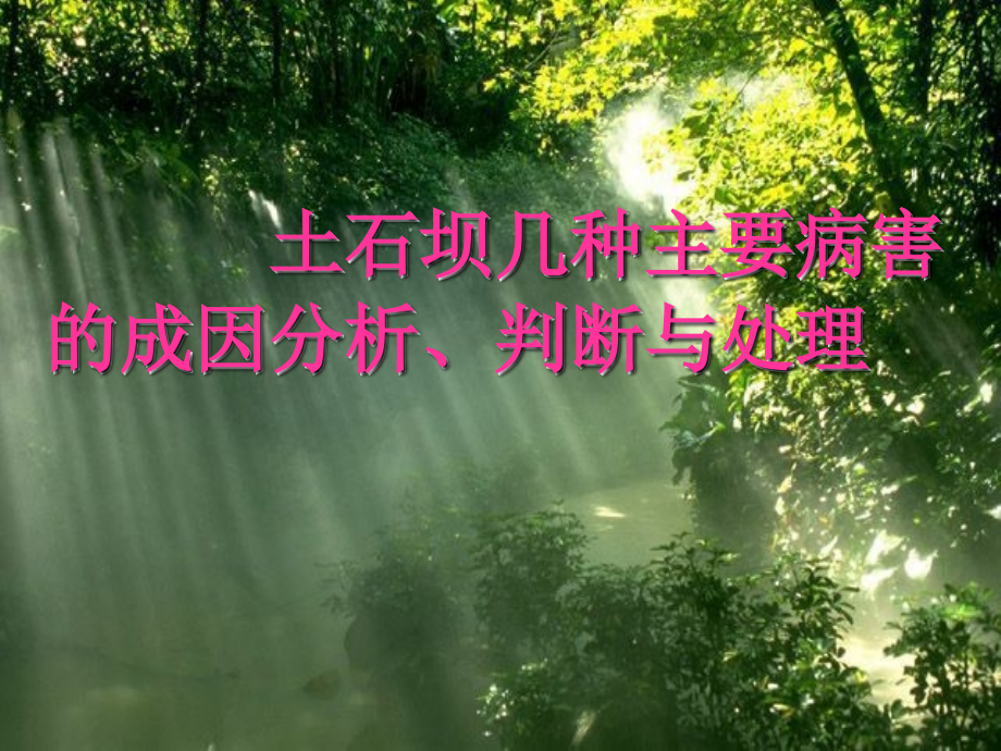 土石坝病害成因分析.ppt_第1页
