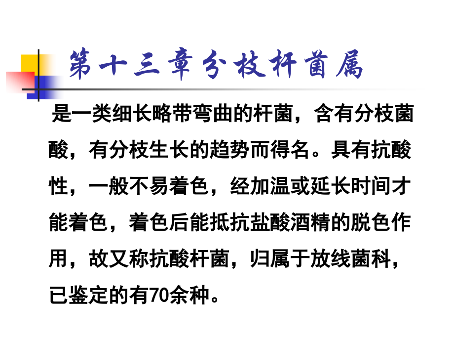 使巨噬细胞转变为类上皮细胞.ppt_第1页
