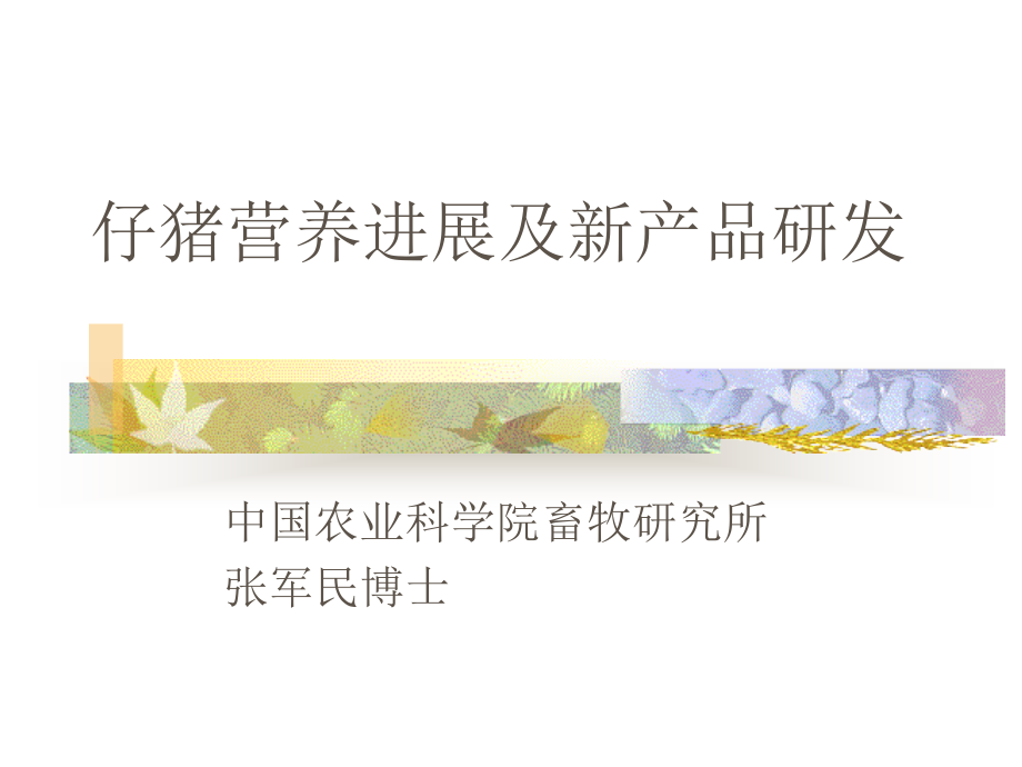 仔猪营养知识.ppt_第1页