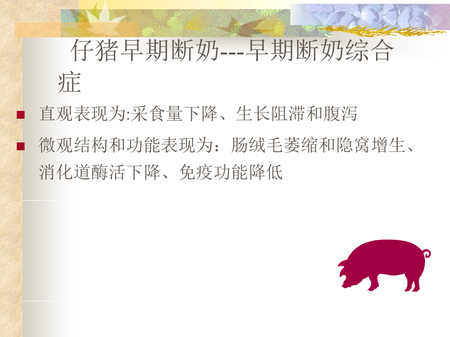 仔猪营养知识.ppt_第2页