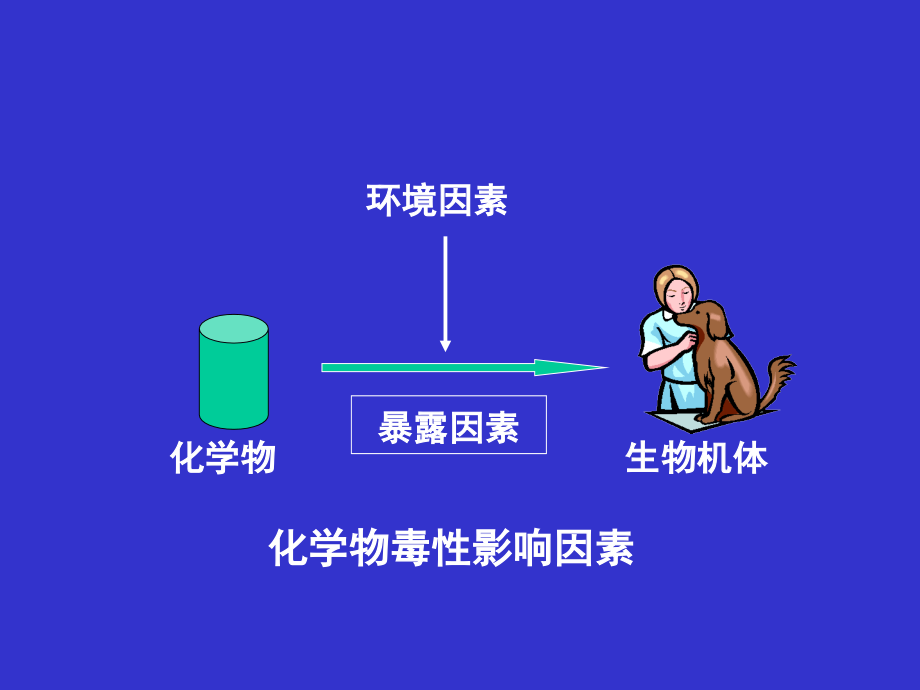 毒性影响因素..ppt_第2页