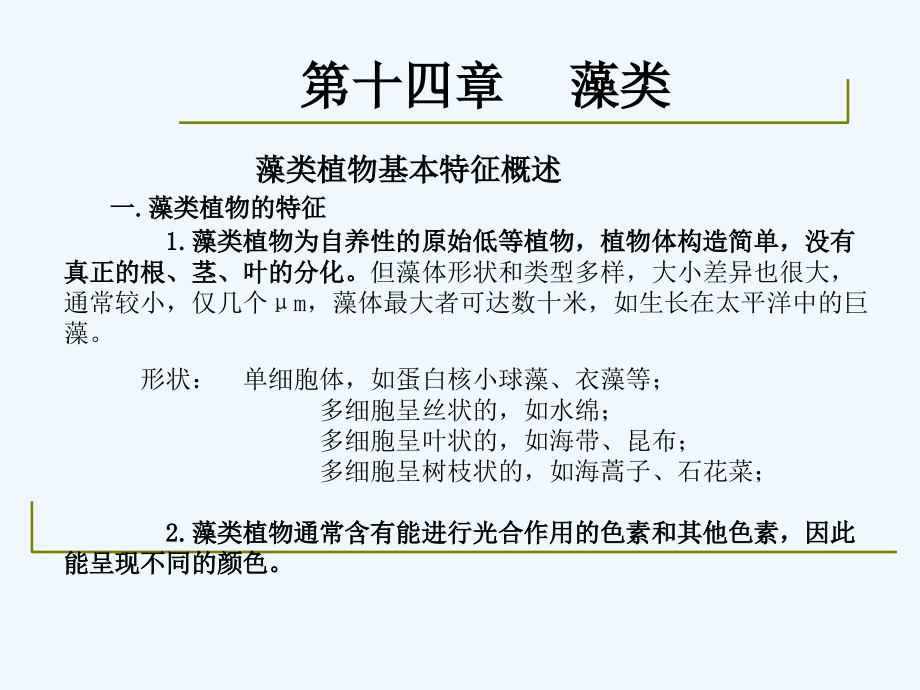 药用植物学-淅江大学14藻类.ppt_第2页
