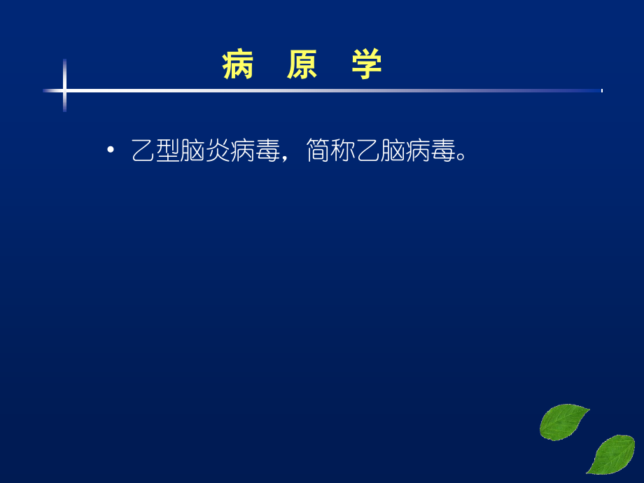 流行性乙型脑炎（全科）.ppt_第2页
