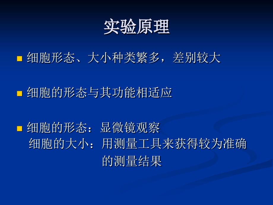 使用测微尺观测细胞的大小PPT.ppt_第2页