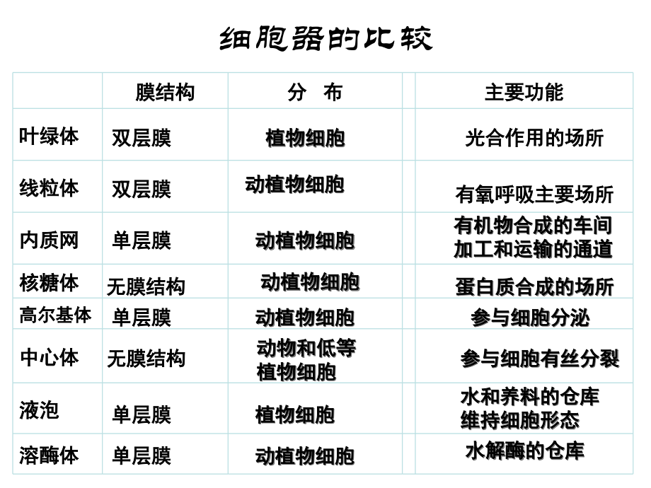 细胞器的协同合作.ppt_第2页