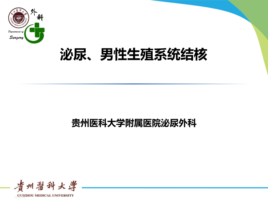 泌尿系结核.pptx_第1页