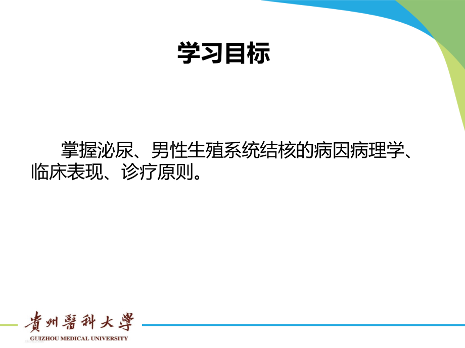 泌尿系结核.pptx_第2页