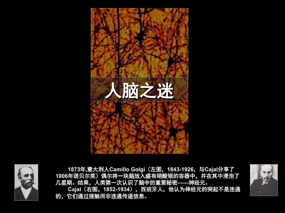 人类大脑与记忆详解.ppt_第1页