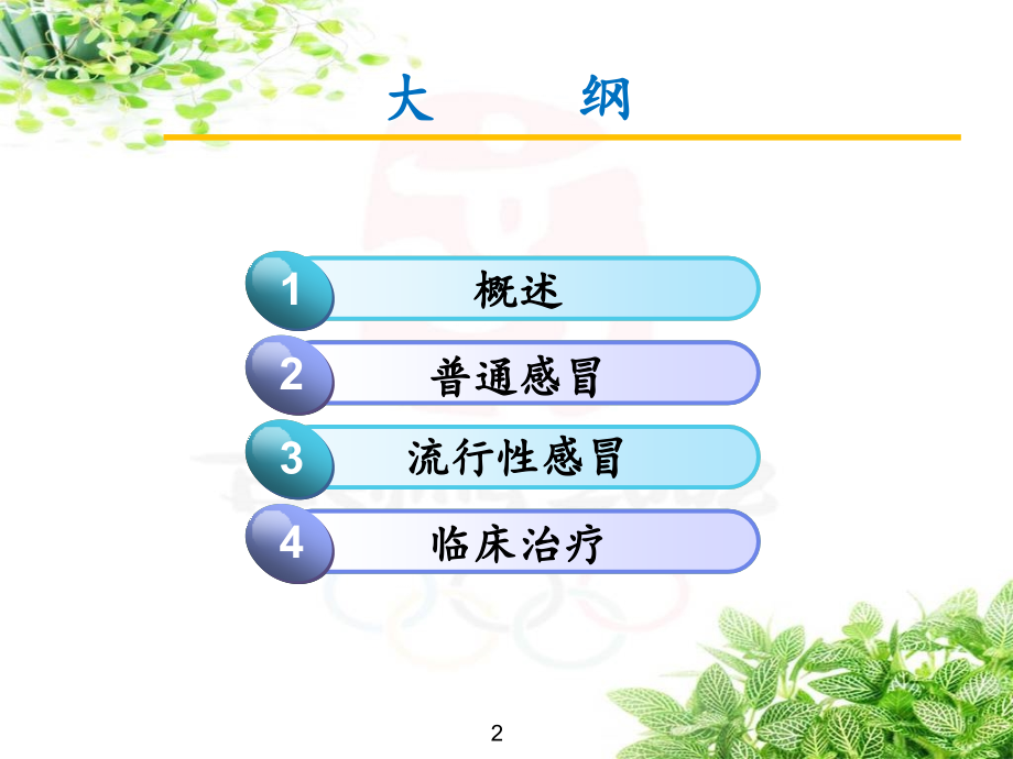 感冒的诊疗.ppt_第2页