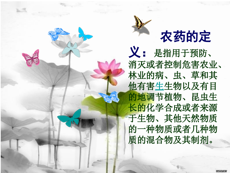 农药与人群健康.ppt_第2页