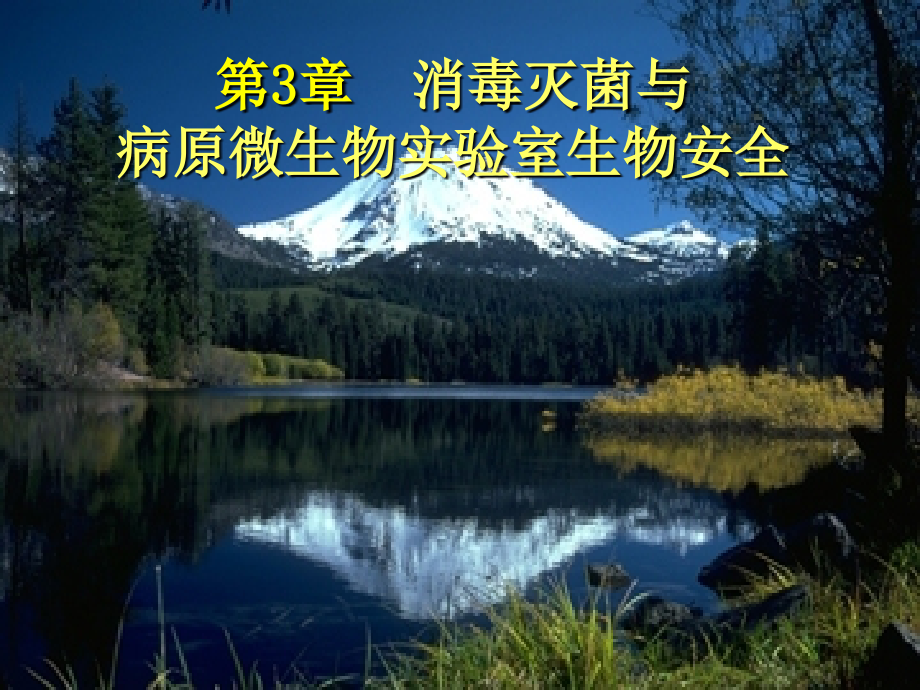 消毒灭菌、噬菌体.ppt_第1页