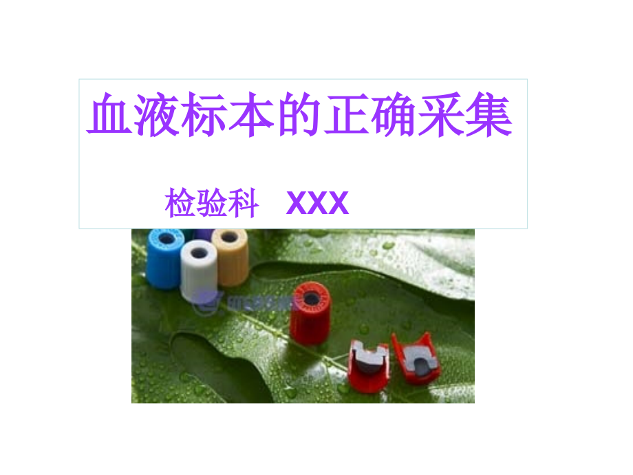 血液标本的正确采集.ppt_第1页