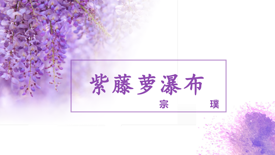 紫藤萝瀑布-张纪宏.pptx_第1页