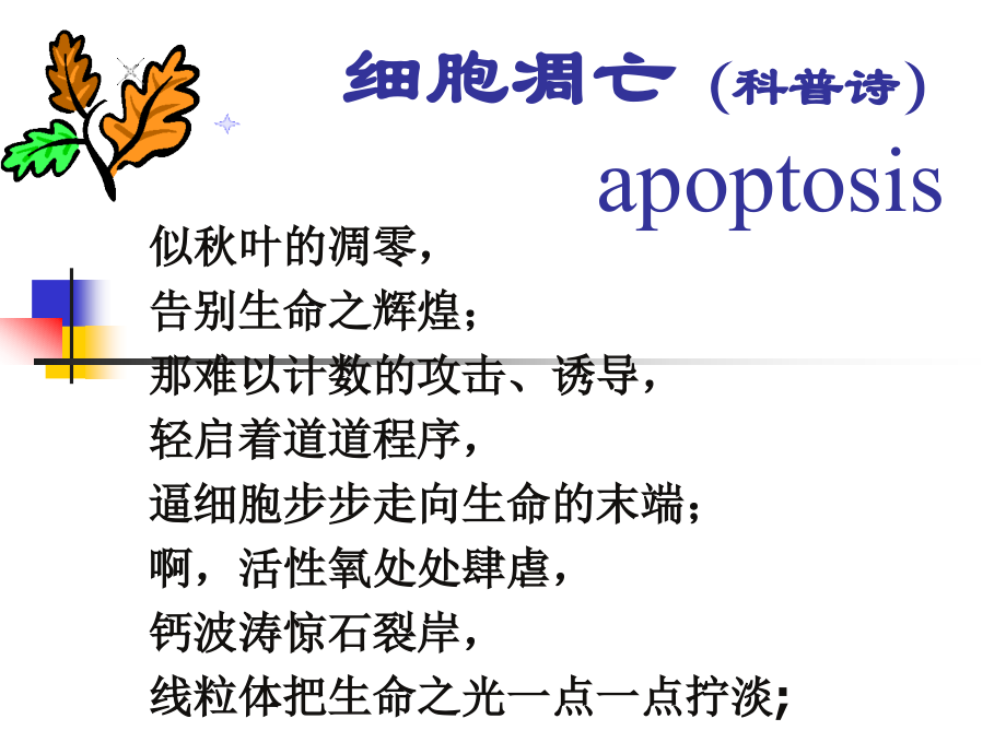 细胞凋亡及机制检测.ppt_第1页