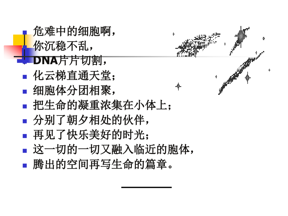 细胞凋亡及机制检测.ppt_第2页