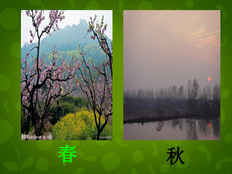 上海五四制语文八下《天净沙·秋思》.ppt_第2页