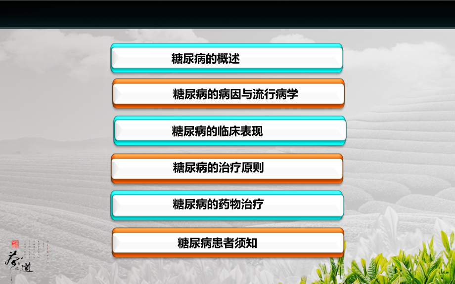 糖尿病与合理用药.ppt_第2页