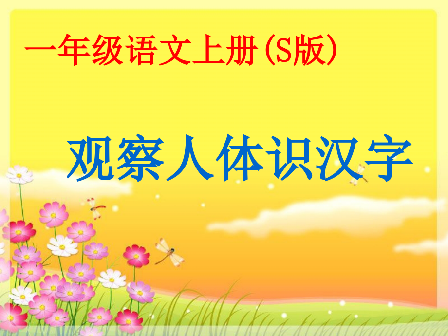 观察人体识汉字.ppt_第1页