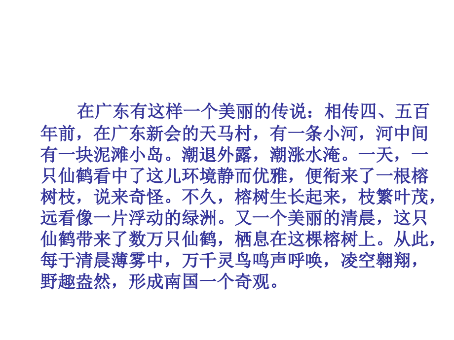 鸟的天堂第一课时.ppt_第1页