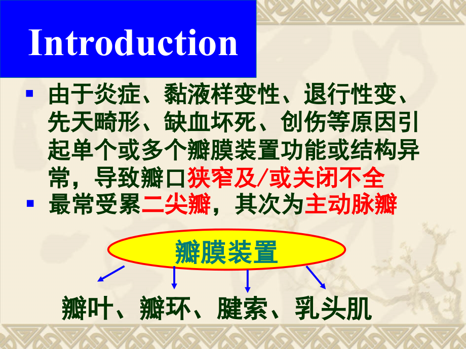 瓣膜性心脏病.ppt_第2页