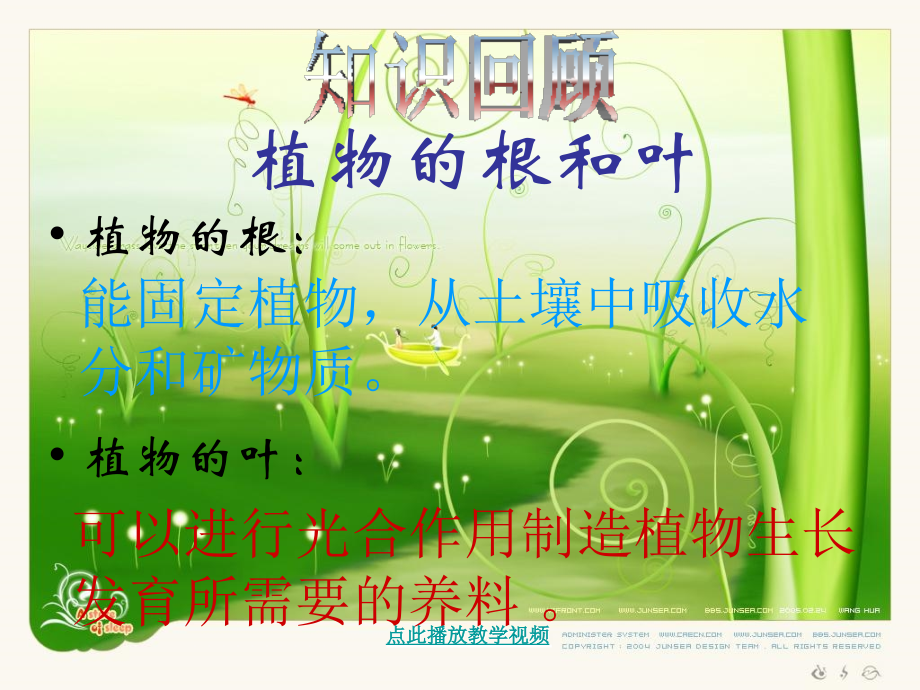 (教科版)三年级科学下册《茎越长越高》教学课件.ppt_第1页