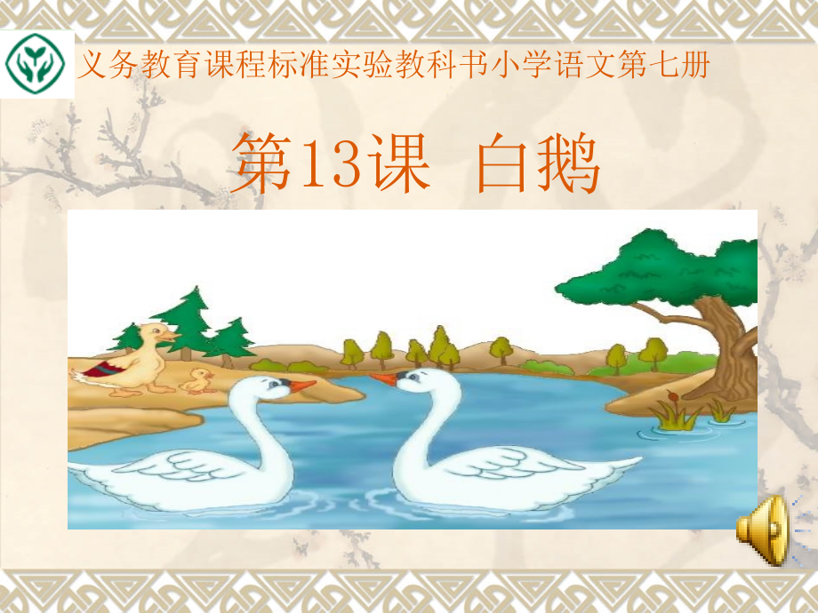 四年级教材白鹅.ppt_第1页