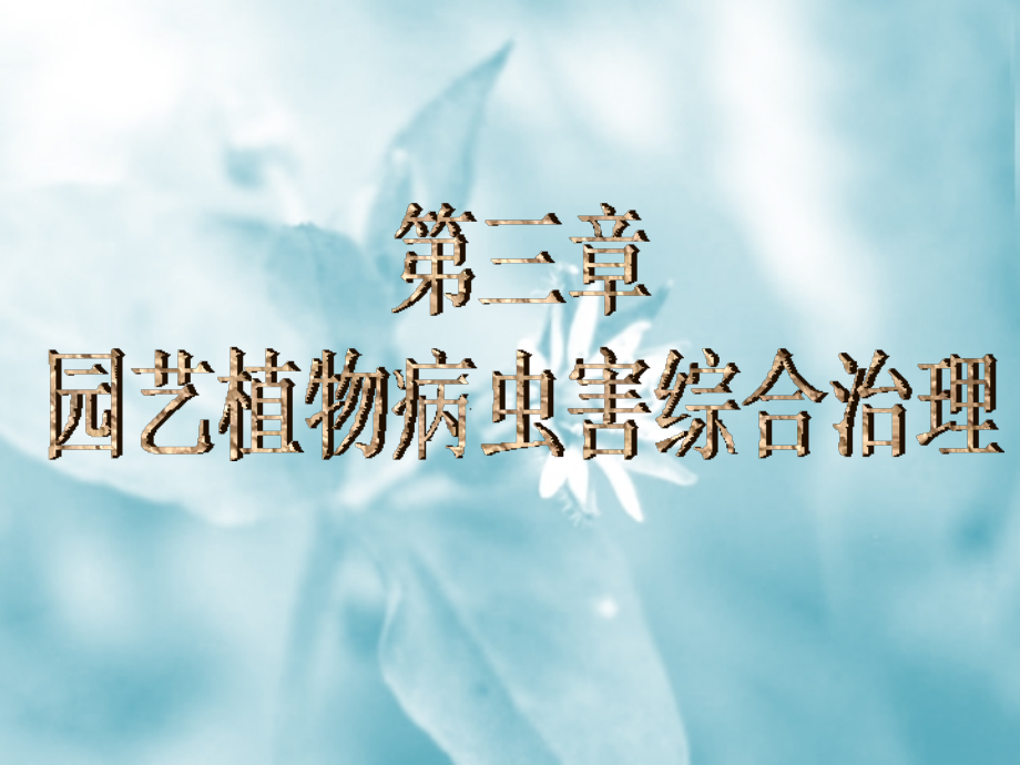 园艺植物病虫害综合治理.ppt_第1页