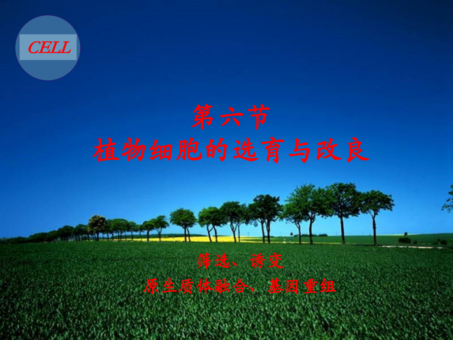 细胞工程-第三章-植物组织培养技术4-(2).ppt_第1页