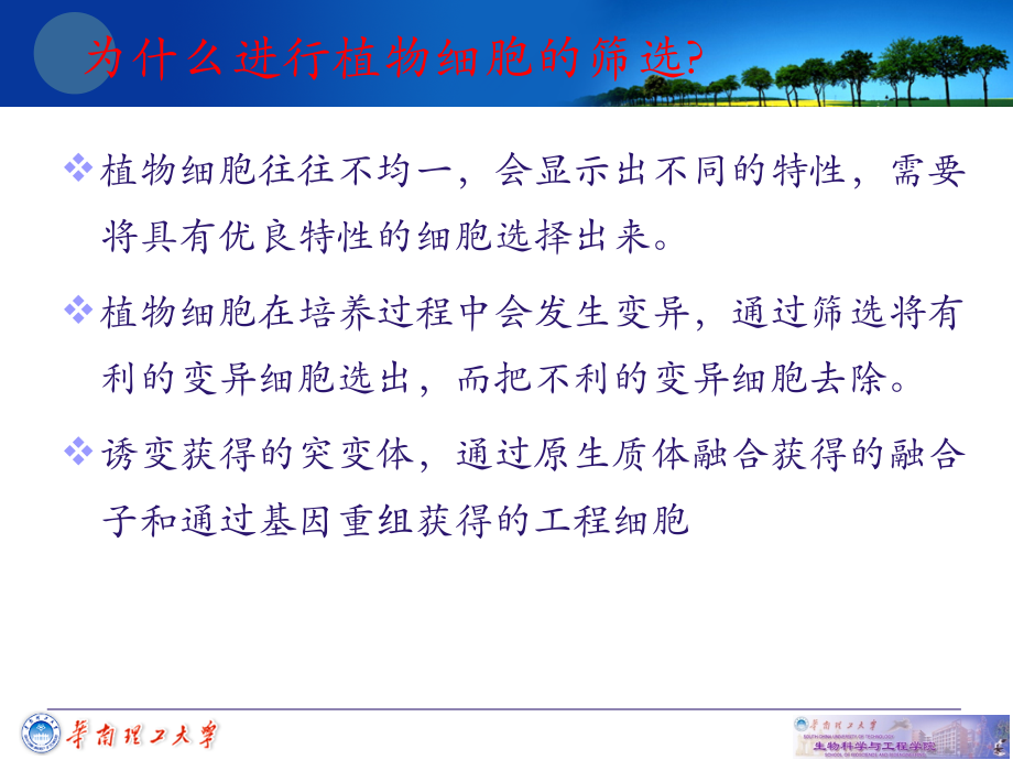 细胞工程-第三章-植物组织培养技术4-(2).ppt_第2页