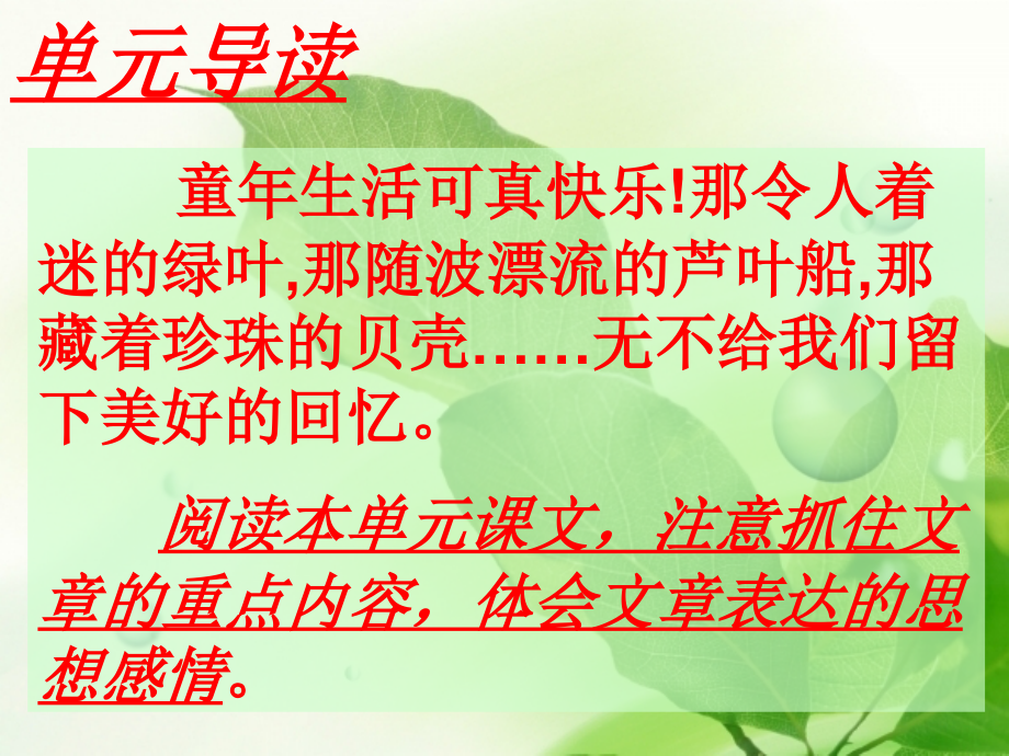 《绿叶的梦》课件-ppt.ppt_第2页