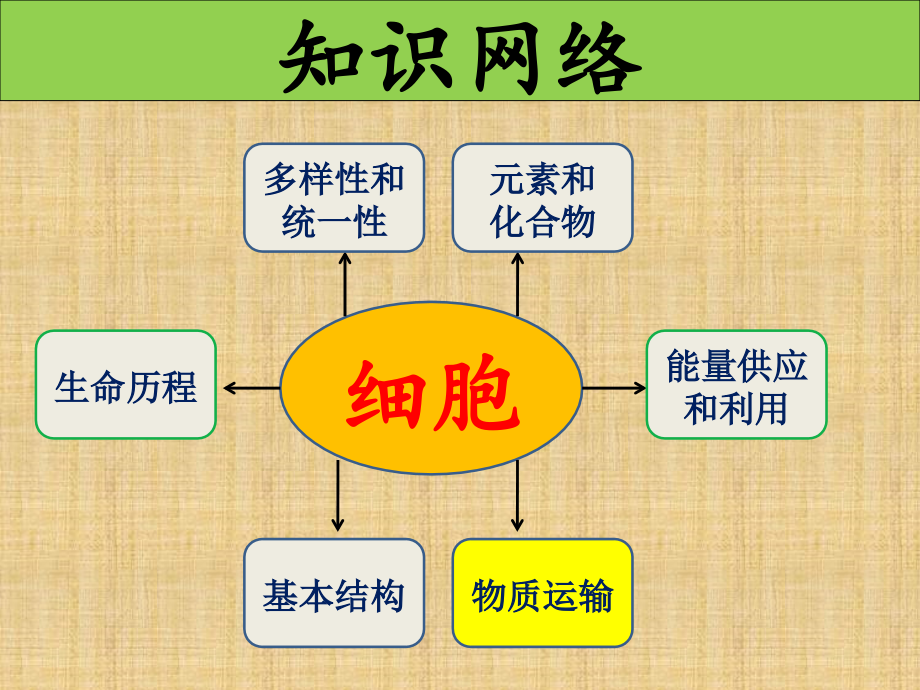 一轮复习4--细胞的物质输入和输出.ppt_第2页