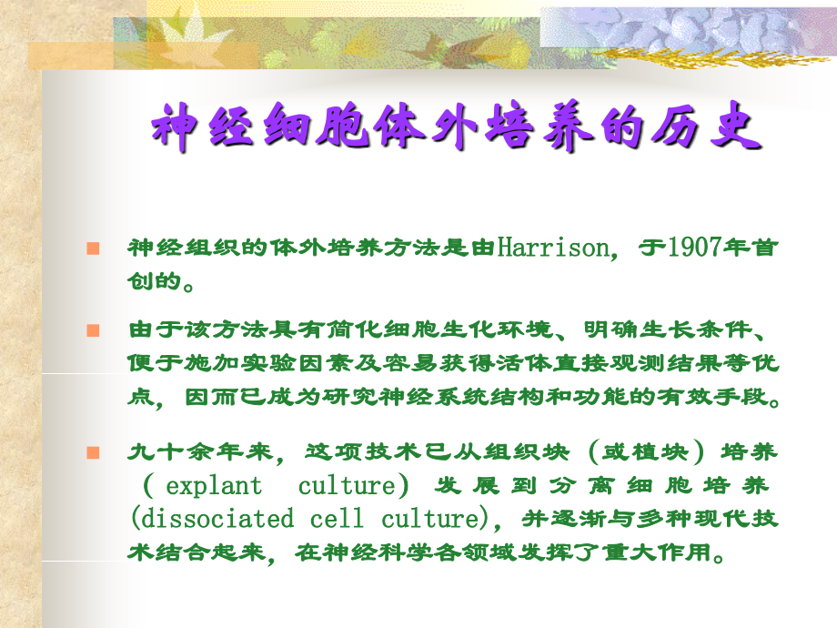 神经细胞体外培养方法及应用.ppt_第2页