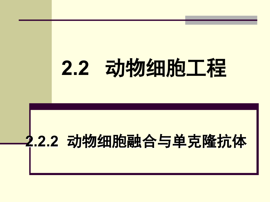 动物细胞融合与单克隆抗体(讲课).ppt_第1页