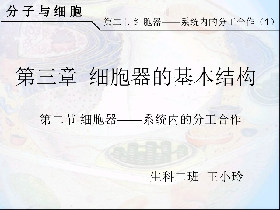 说课：细胞器——系统内的分工合作.ppt_第1页