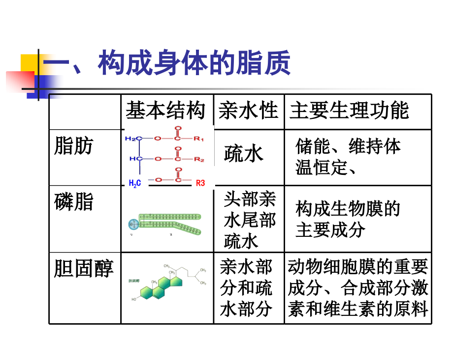 血脂代谢及其调节.ppt_第2页