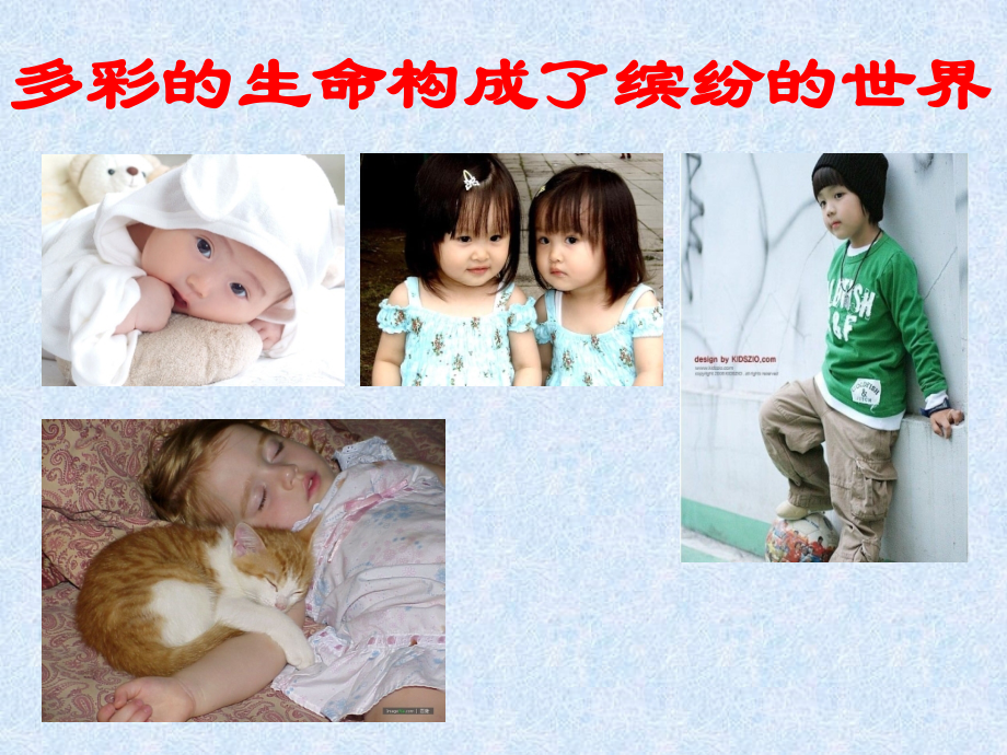 珍爱生命-拥抱健康.ppt_第2页