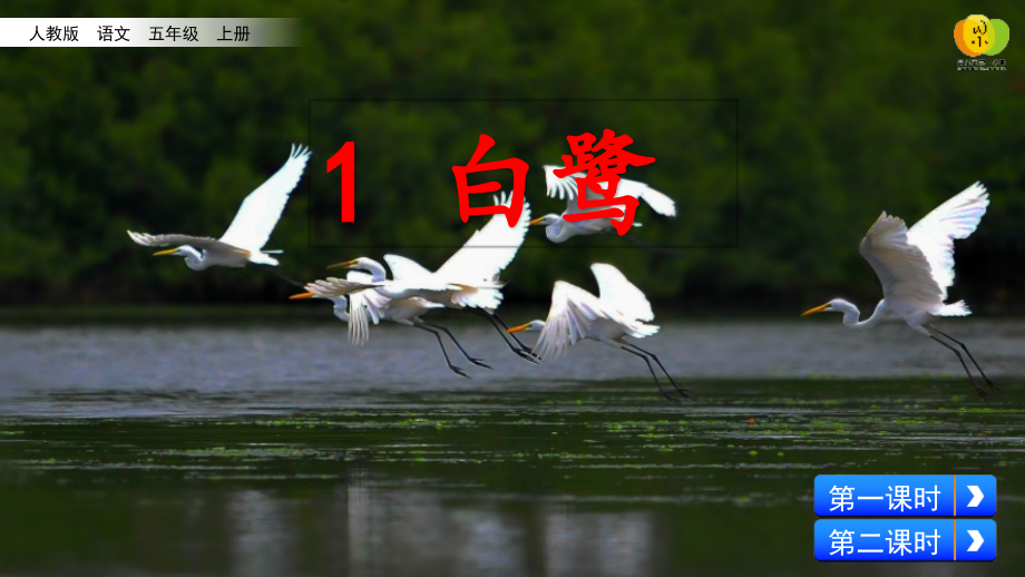 中小学1-白鹭公开课教案教学设计课件案例测试练习卷题.pptx_第1页