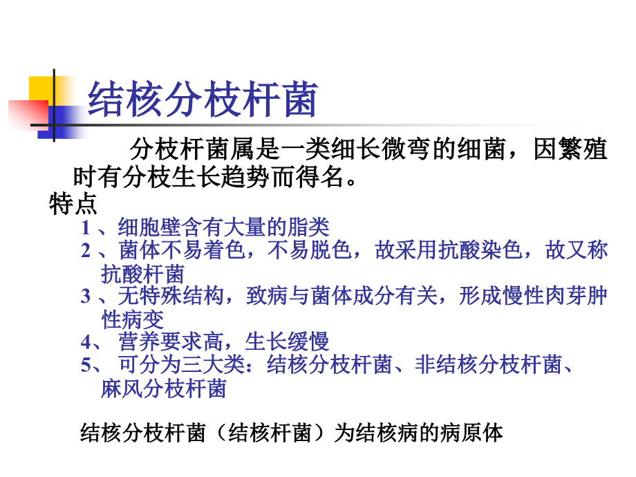 呼吸道感染的细菌.ppt_第2页