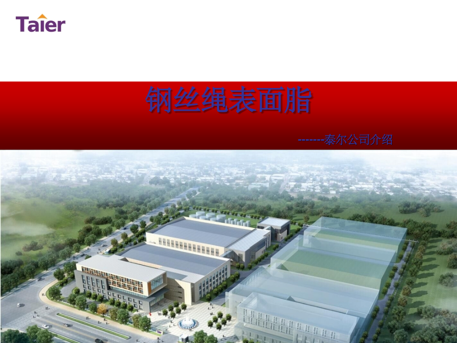 钢丝绳表面电梯绳港口渔业绳起重绳增磨戈培油高铁承力索油脂麻芯脂尼洛斯登丰国CHCH-7艾拉斯康elaskon.ppt_第1页