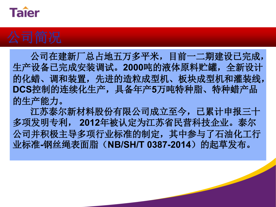 钢丝绳表面电梯绳港口渔业绳起重绳增磨戈培油高铁承力索油脂麻芯脂尼洛斯登丰国CHCH-7艾拉斯康elaskon.ppt_第2页