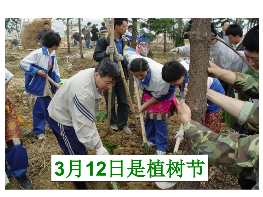 人教小学数学三年级《笔算除法》.ppt_第2页