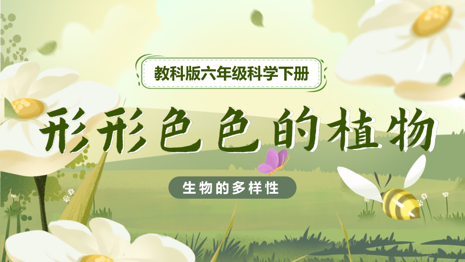 2.3形形色色的植物(26页PPT)教科版小学科学六年级下册公开课教案教学设计课件案例试卷.pptx_第2页